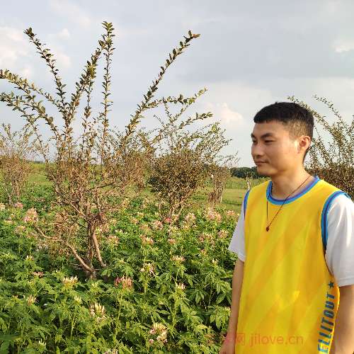 37岁岁广东单身帅哥 - 陵水吉缘网